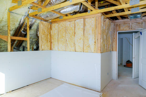 Best Insulation Removal Services  in Gleason, TN