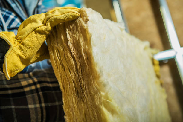 Best Best Insulation Companies  in Gleason, TN